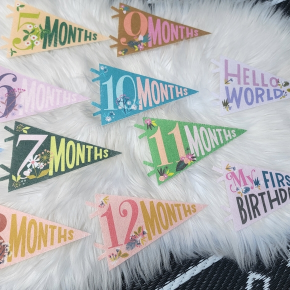 2/$20 Little Artist Milestone Pennants - Picture 11 of 15